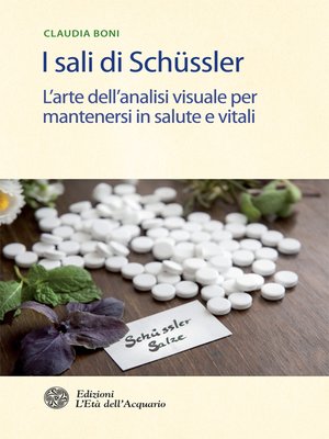 cover image of I sali di Schüssler